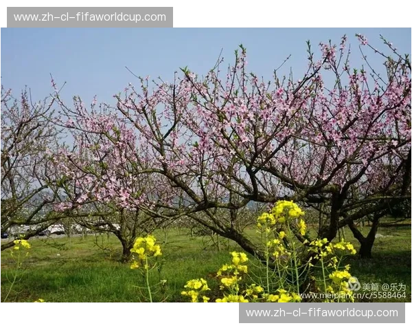 宿命的轮盘与绝杀的咏叹调：2015年骑牛大战，那是最后的一曲古典长歌
